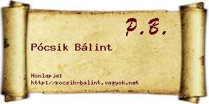 Pócsik Bálint névjegykártya
